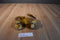 Animal Alley Beige and Brown Puppy Dog Plush