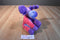 Wishpets Pink Purple Blue Laura Moose 2009 Plush