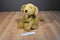 Build a Bear Golden Retriever Beanbag Plush