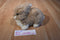 Russ Bruin Tan and White Dutch Bunny Rabbit Plush
