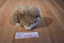 Russ Bruin Tan and White Dutch Bunny Rabbit Plush