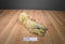 Russ Yomiko Yellow Lab Beanbag Plush