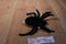 Ty Beanie Buddy 1999 and Baby 1996 Spinner Spider Beanbag Plushes