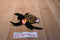 Ty Beanie Buddy 1999 and Baby 1996 Spinner Spider Beanbag Plushes