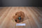 Russ Taubin Teddy Bear Beanbag Plush