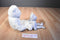 Ty Beanie Buddy and Baby The Beginning Bear 2000 Beanbag Plushes