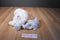 Ty Beanie Buddy and Baby The Beginning Bear 2000 Beanbag Plushes