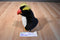 Fiesta Crested Rock Hopper Penguin 1997 Plush