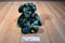 Russ Blarney Green Teddy Bear Beanbag Plush