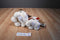 Wells Fargo Jack The Jack Russell Terrier Dog Plush