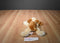 Aurora Floppy Beige and Brown Hound Dog 2016 Beanbag Plush