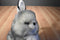 Morehead Snow Furries Arctic Hare Bunny Rabbit 1997 Plush