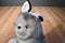 Morehead Snow Furries Arctic Hare Bunny Rabbit 1997 Plush
