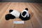 Kellytoy Panda Bear Beanbag Plush