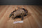 Equity Toys Jurassic Park The Lost World Stegosaurus 1997 Plush
