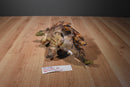 Equity Toys Jurassic Park The Lost World Stegosaurus 1997 Plush