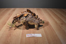 Equity Toys Jurassic Park The Lost World Stegosaurus 1997 Plush