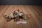 Equity Toys Jurassic Park The Lost World Stegosaurus 1997 Plush