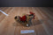 Gibson Greetings Brown Teddy Bear in Red Hat and Scarf 1996 Plush
