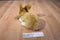 Russ Yomiko Tan and White Dutch Bunny Rabbit Plush