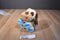 Taggies Buddy the Brown Tan and Beige Dog Beanbag Plush