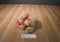 Gund St. Jude Joshua Tan Teddy Bear Beanbag Plush