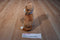 Walt Disney Aritocats O'Malley the Alley Cat Plush