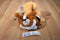 Jay At Play 3 -in-One Pop Out Pets Dog 2015 Plush
