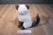 ACMI Chocolate Point Siamese Plush