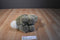Pier 1 Brown Bunny Rabbit Plush