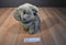 Pier 1 Brown Bunny Rabbit Plush