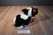 Russ Clover Holstein Cow With Black Hat Plush