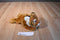 Gund Cinnabar the Bengal Tiger Cub Beanbag Plush