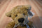 Russ Cromwell Beige and Brown Teddy Bear Beanbag Plush