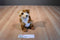 Douglas Minnie Meerkat Beanbag Plush