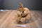 Tri Russ Brown Bear/Reindeer with Fake Nose Beanbag Plush