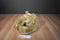 Russ Padsworth Beige Teddy Bear Beanbag Plush