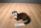 Wild Republic Brown and Beige River Otter 2016 Plush