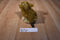 Hyper-Pet Wildlife Critters Brown and Beige Rabbit Hare Squeaking Dog Toy