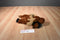 Mary Meyer Moose 2000 Beanbag Plush