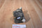 Steven Smith National Wildlife Federation Timber Wolf Plush
