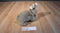Ty Classic Buttons the Brown and Beige Bunny Rabbit 1997 Beanbag Plush