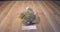 Ty Classic Buttons the Brown and Beige Bunny Rabbit 1997 Beanbag Plush