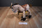Disney Store Toy Story Bullseye the Horse Plush