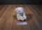 Animal Adventure White and Pink Bunny Rabbit 2010 Plush