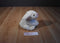 Animal Adventure White and Pink Bunny Rabbit 2010 Plush