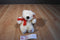 Russ Bianca White Bear Beanbag Plush