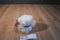 Russ Bianca White Bear Beanbag Plush