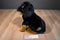 Encore Lou Rankin Rottweiler Plush