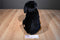 Encore Lou Rankin Rottweiler Plush